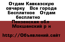 Отдам Кавказскую овчарку - Все города Бесплатное » Отдам бесплатно   . Пензенская обл.,Мокшанский р-н